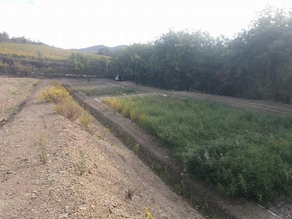 Impianto di fitodepurazione Fattoria Dievole, Chianti